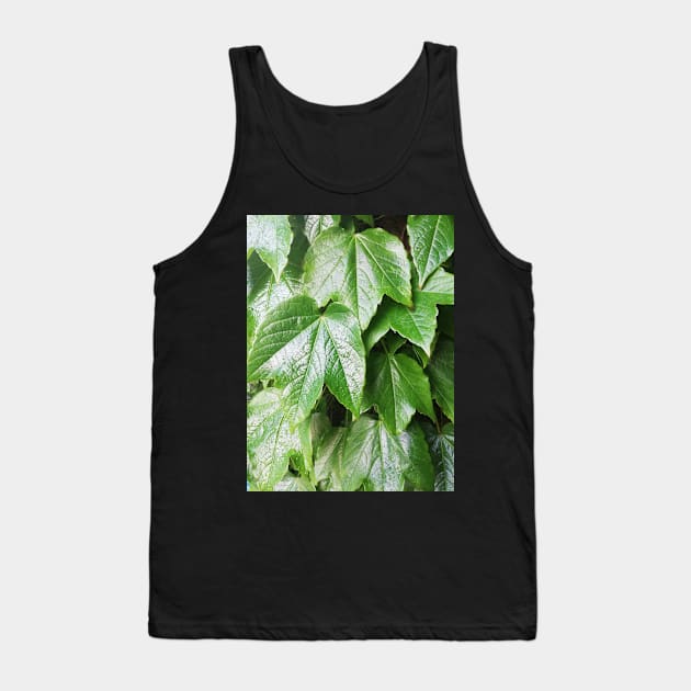 leaves after rain Tank Top by Evaaug